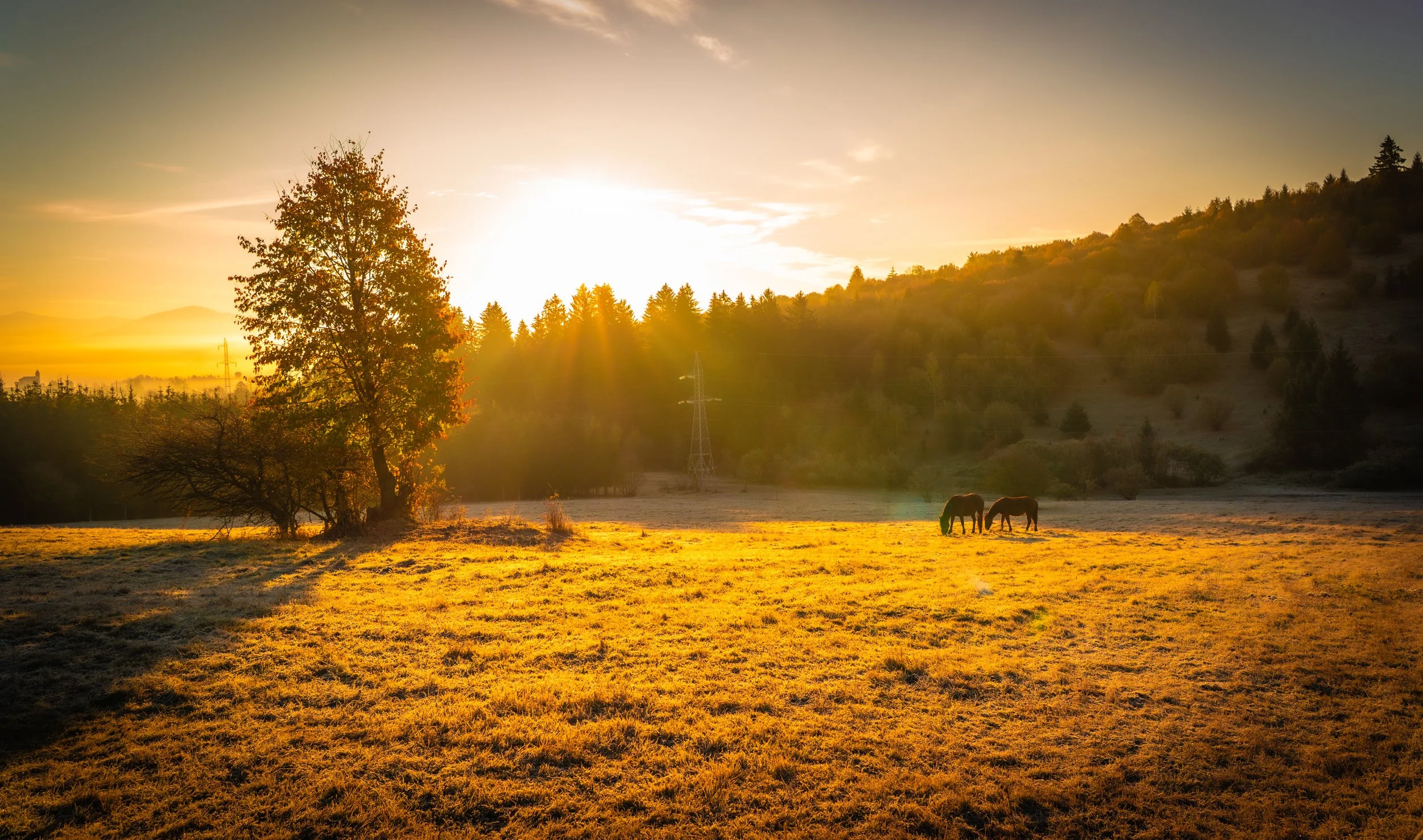 Transylvanian sunrise