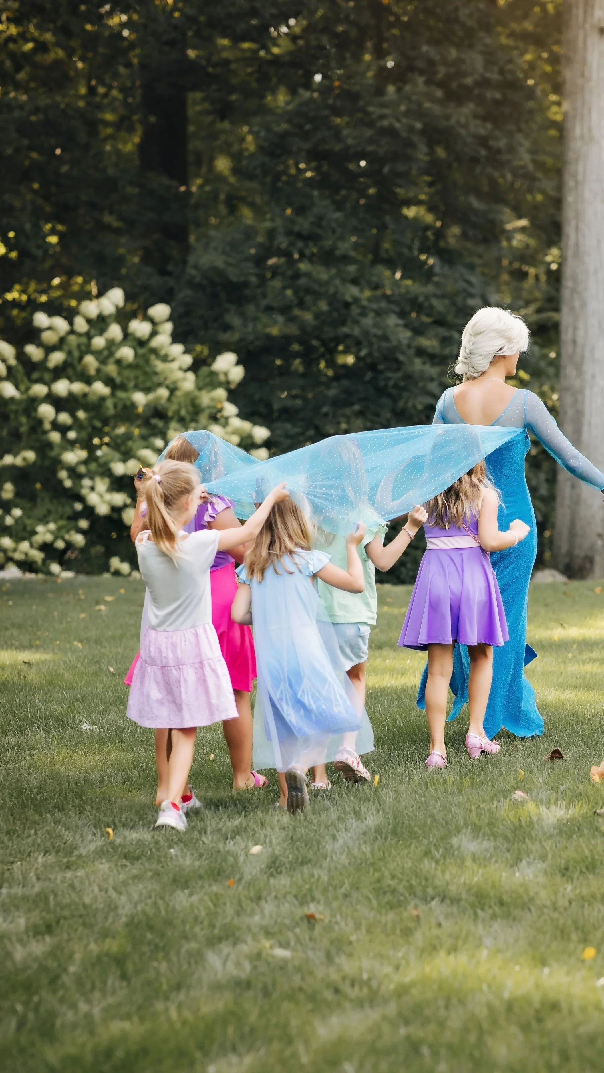 princess parade NJ Bday party