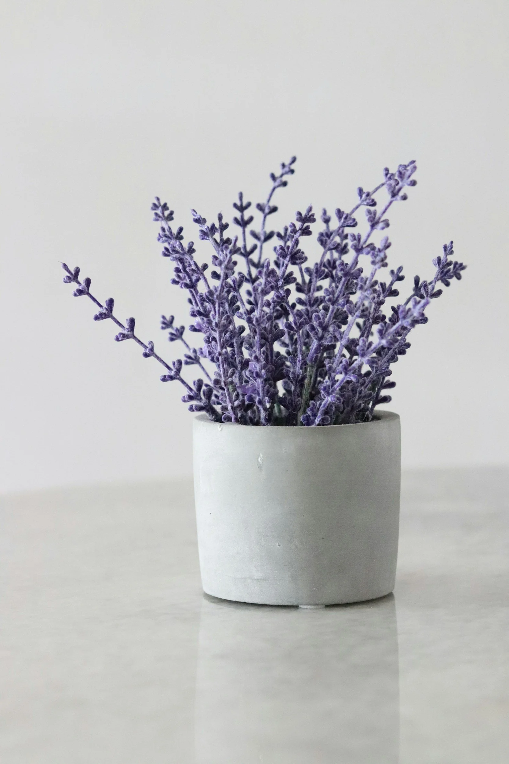 A small white ceramic pot with purple lavender flowers placed on a white surface against a plain white background.
