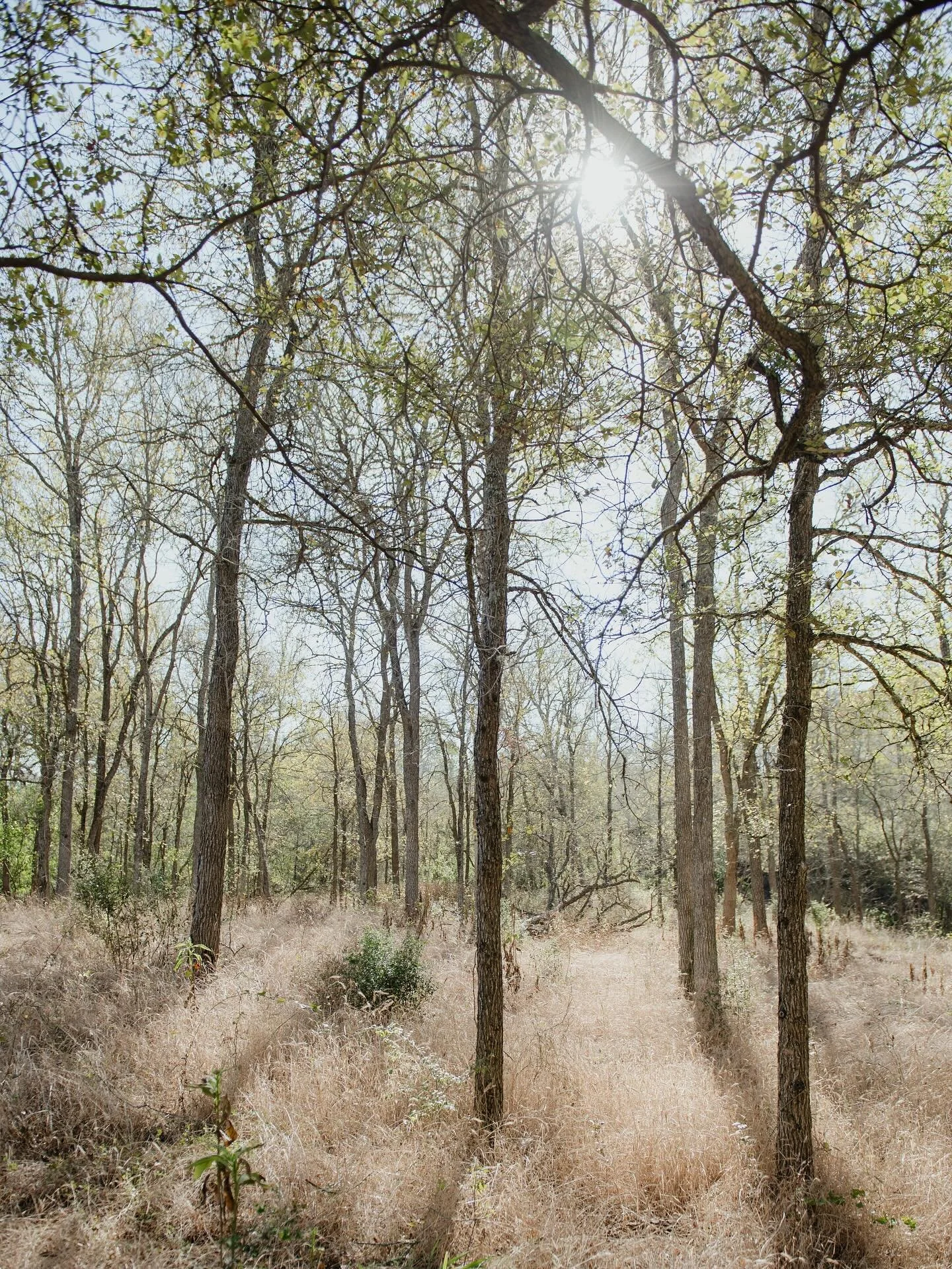 Walked an old favorite, and then took a new trail and found all this today!