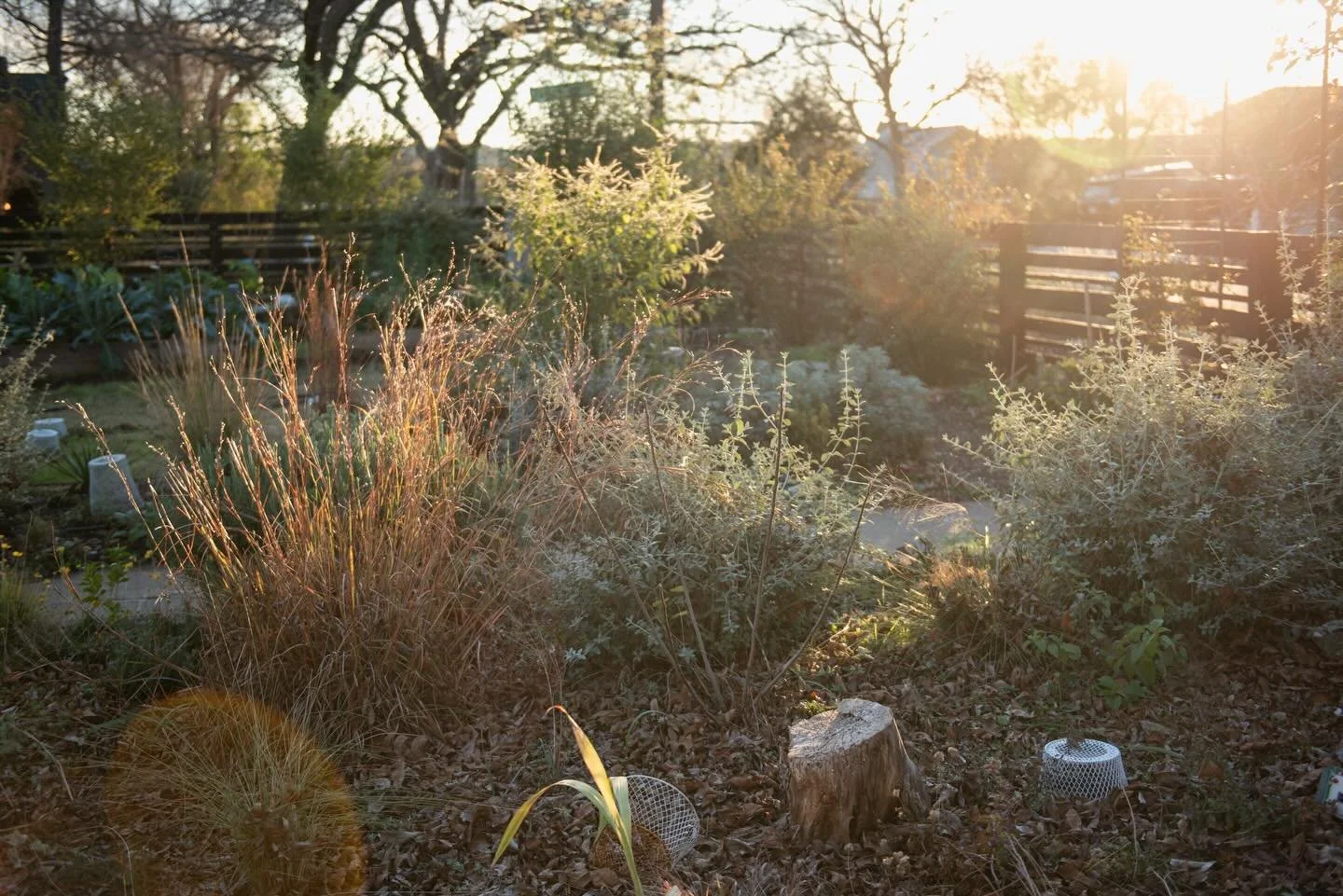 January garden four days ago&hellip;