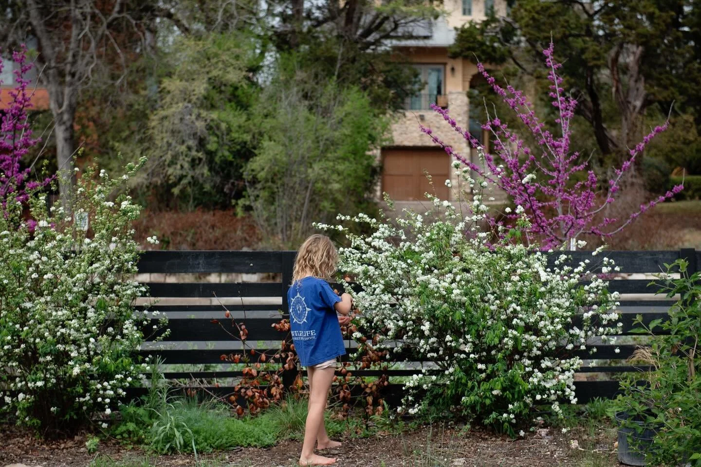 Some spring plant identification. I start panicking this time of year, when everything has been cut back and the garden looks so &ldquo;low&rdquo;. Come back in May, and you&rsquo;ll see. But walking around and finding plants that feel like old frien