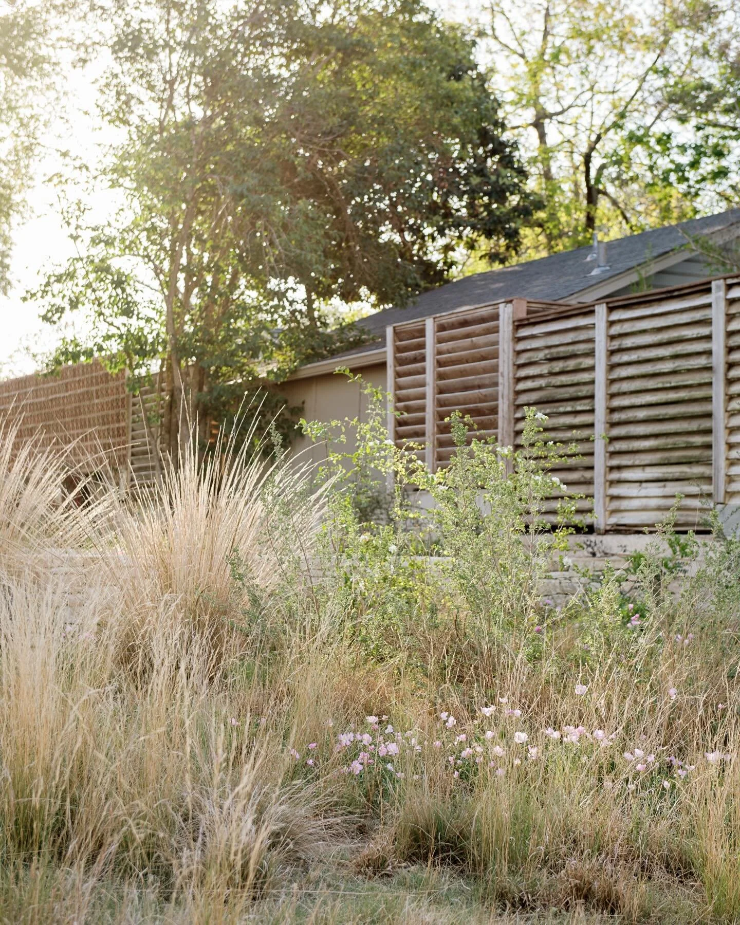 Photographed for and design + install by @native_son_gardens on a just emerging spring day. This garden moved me, to say the least, and demonstrates the beauty Texas natives can bring to our spaces.