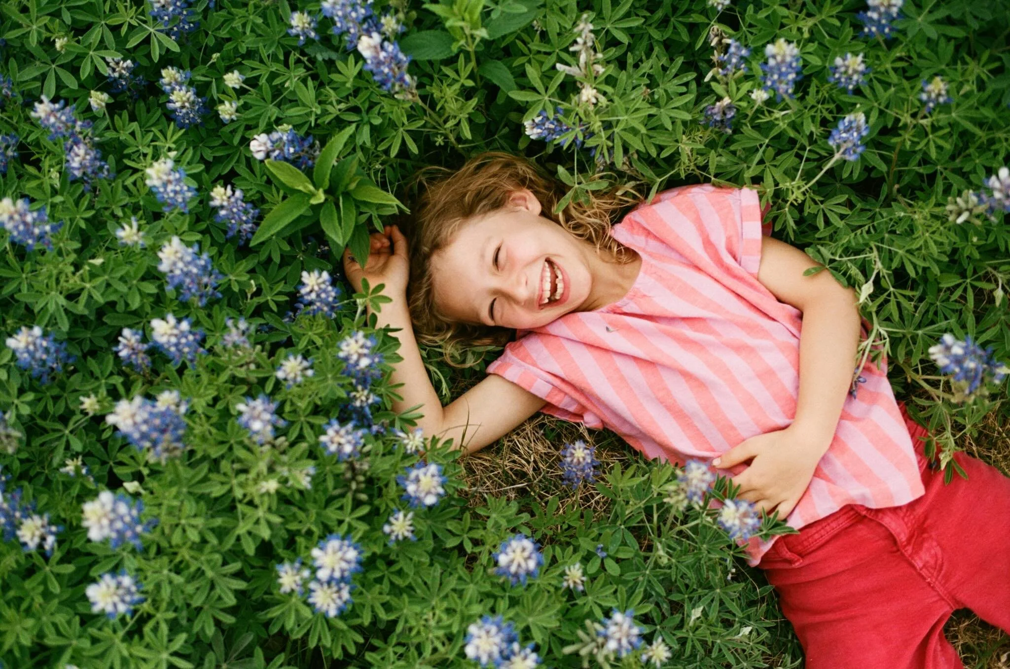 Wildflowers in the wildflowers
