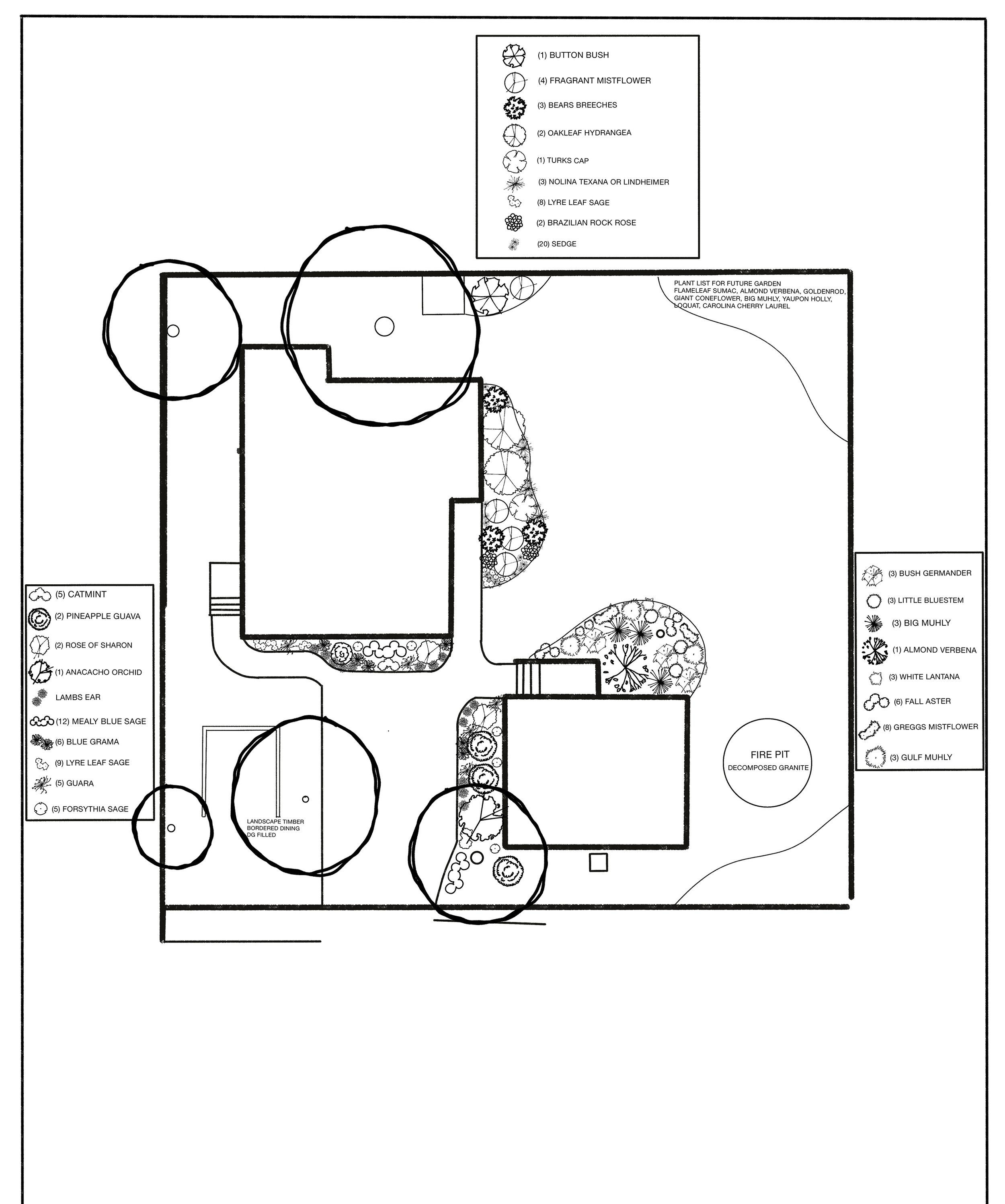 This garden belongs to a family who wanted to add some seasonality and lots of blooms to their space. Having gardened in another part of the country, they already knew how to plant, but just needed some direction for planting on Blackland Prairie in 