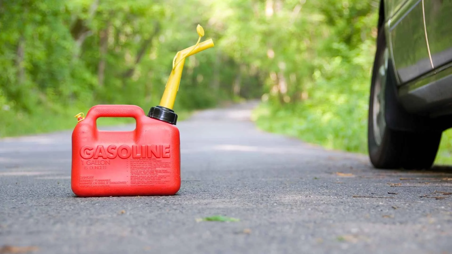 A red gasoline container with a yellow spout on a paved road amidst green trees, with part of a black car visible on the right side.