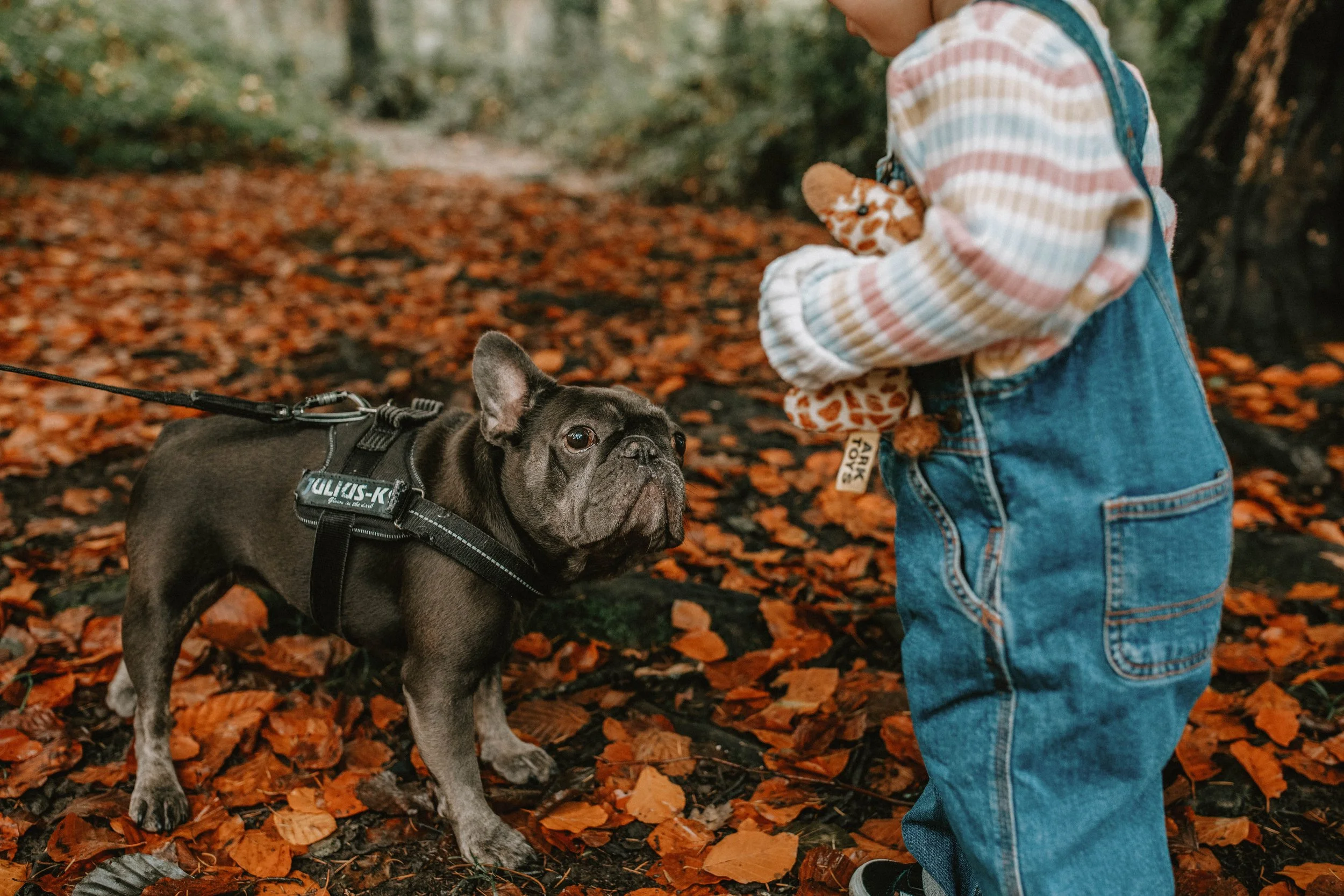 MillieThomasPhotography-2.jpg
