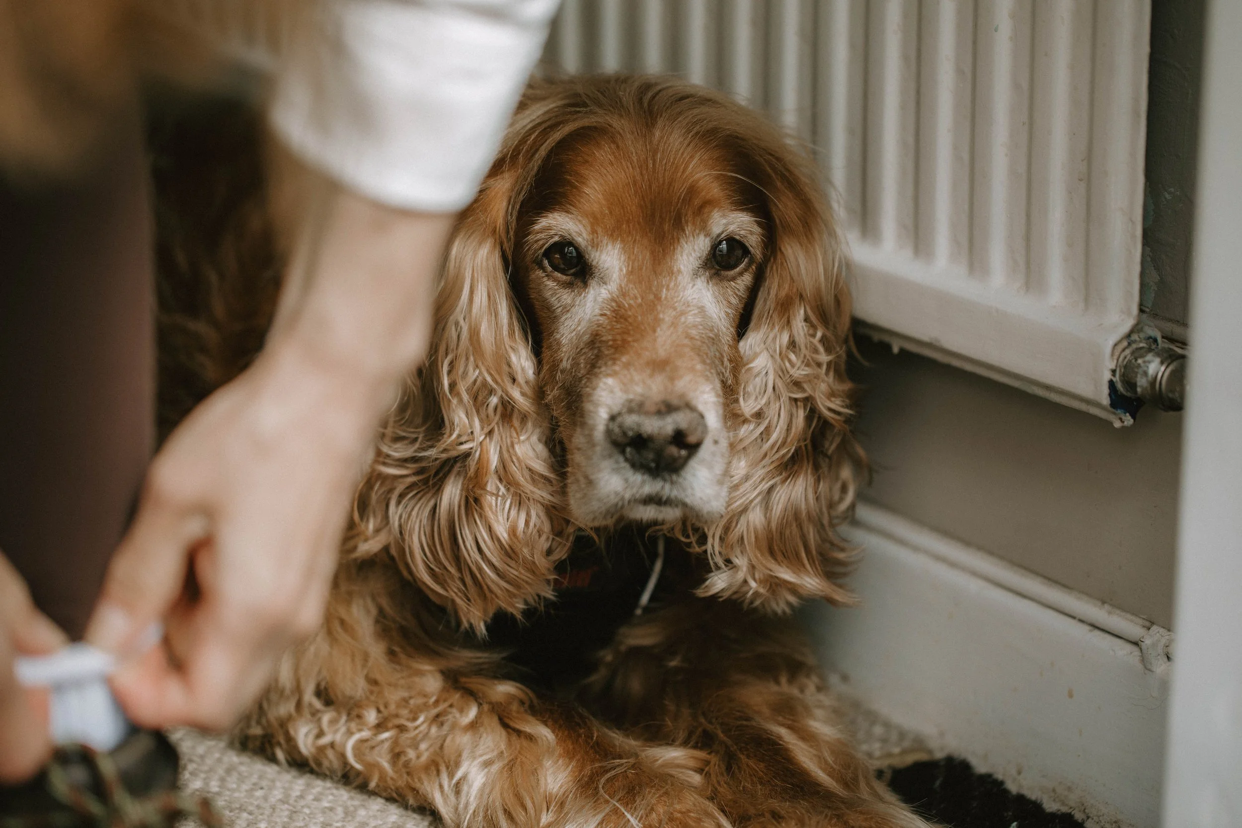 MillieThomasPhotography-365.jpg