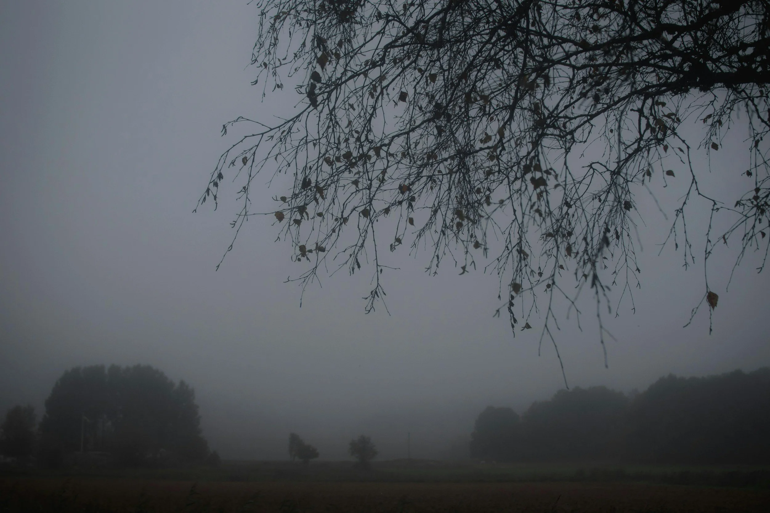 Unseen (fiction)