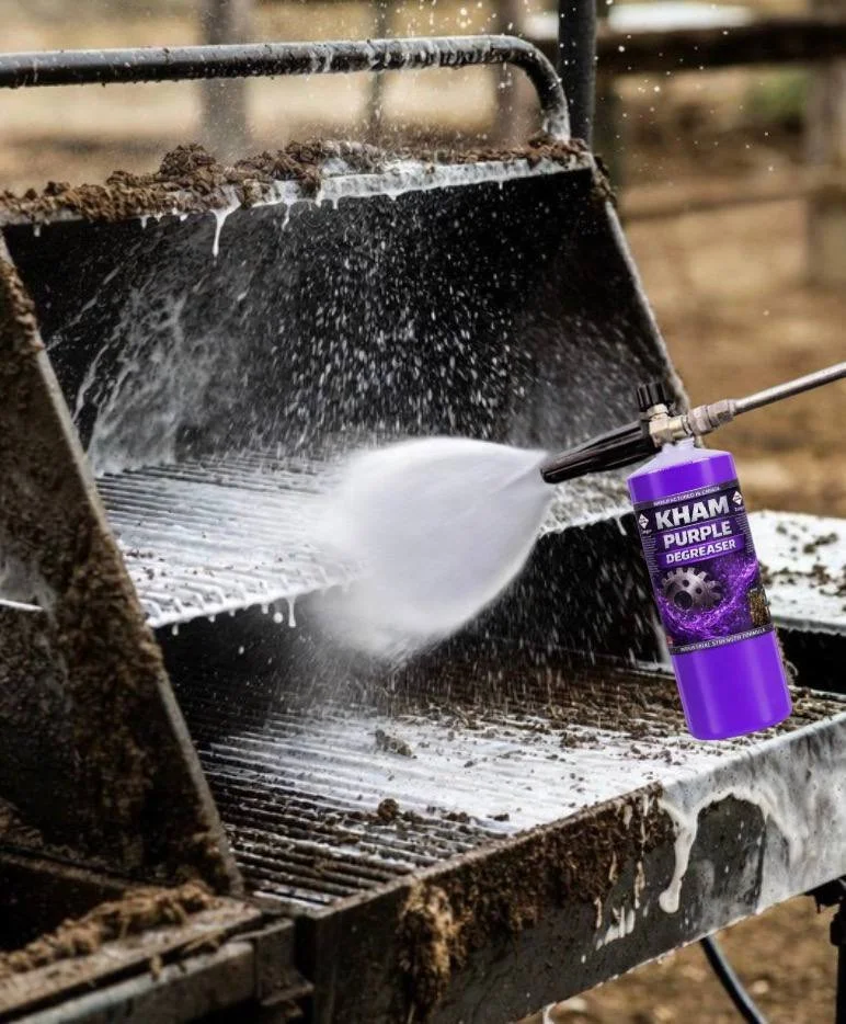 IMAGE 2026-02-14 23:18:33.jpg