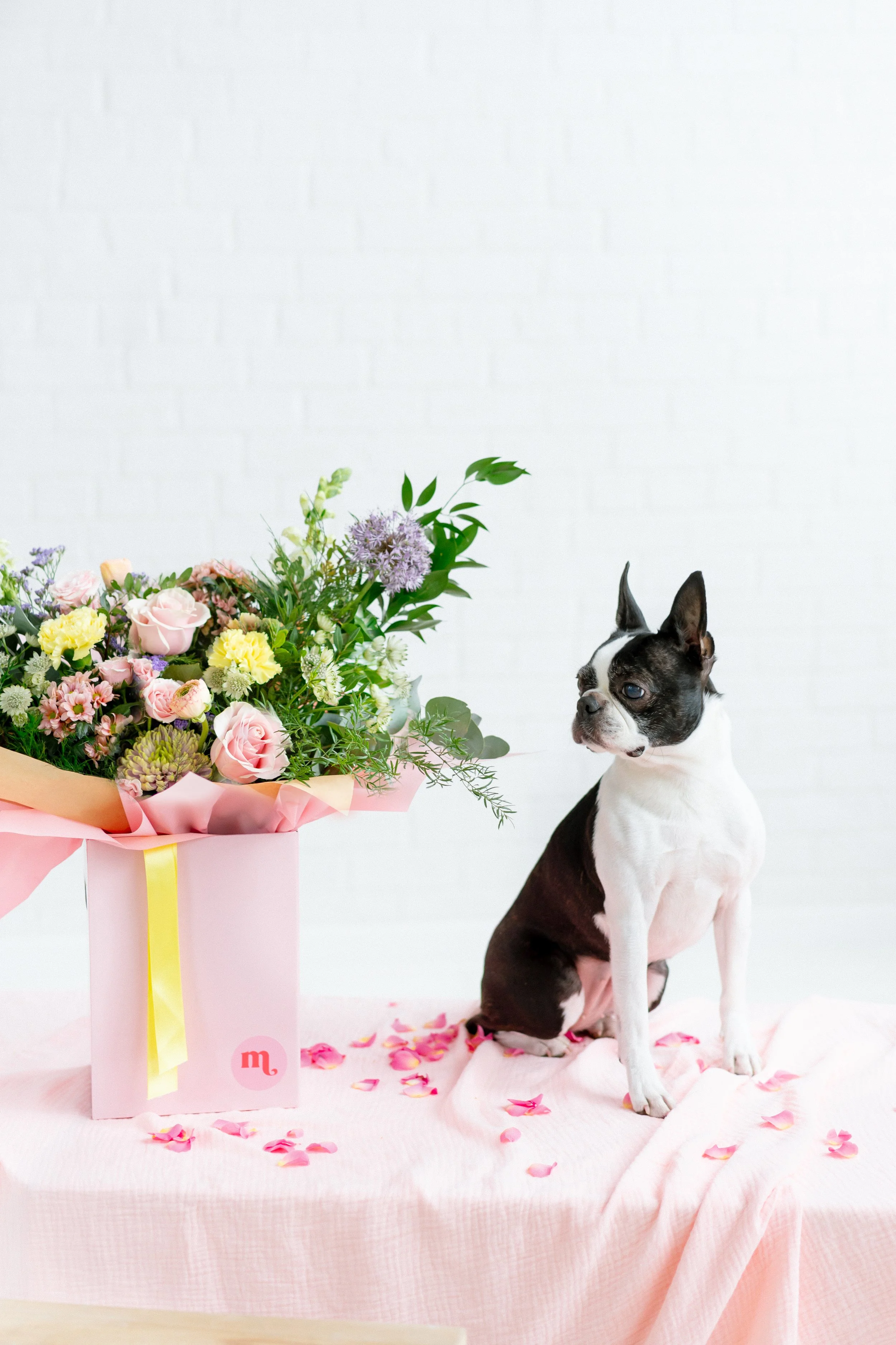 Memento - Mothers Day Collection