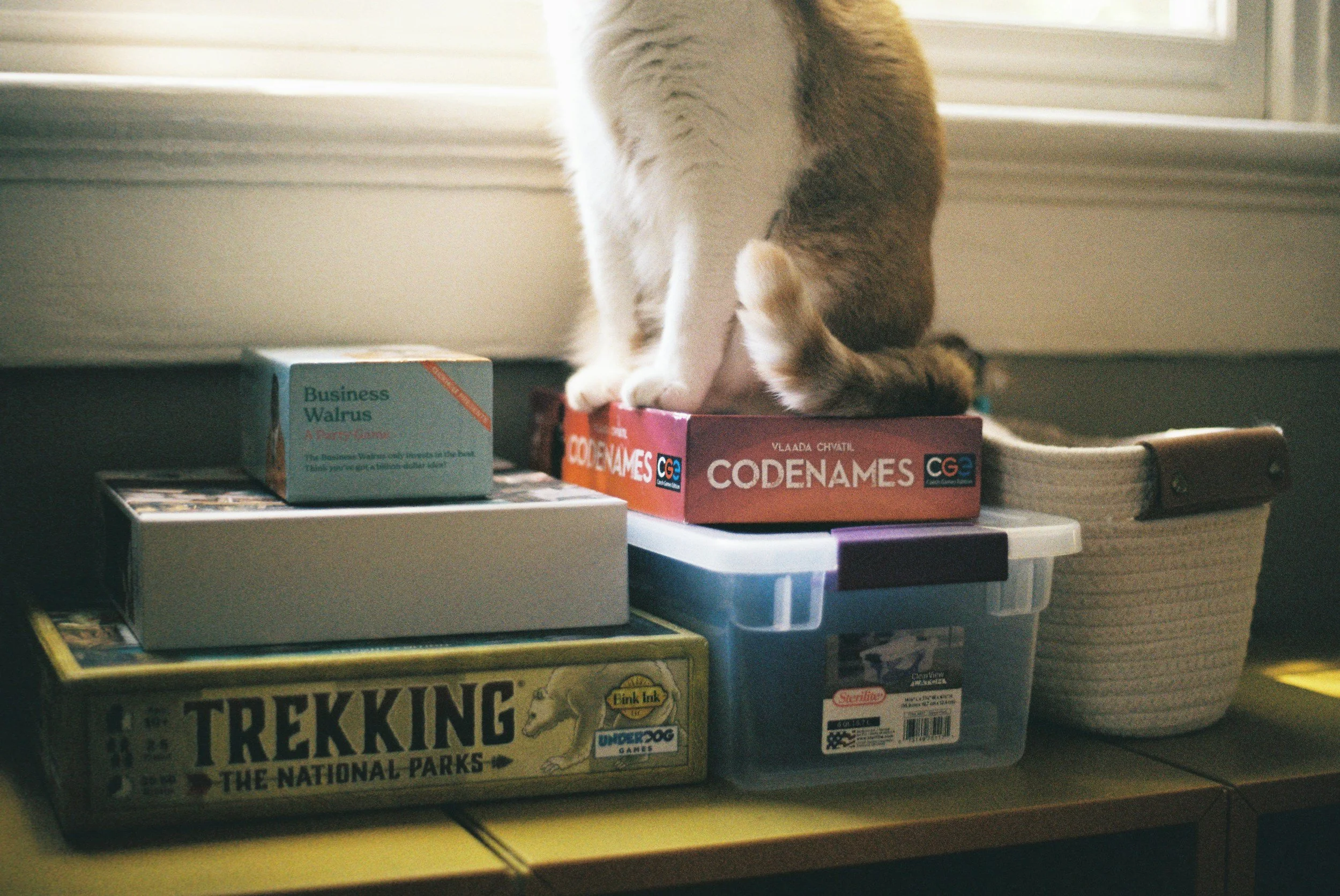 Codenames: Our January Game of the Month