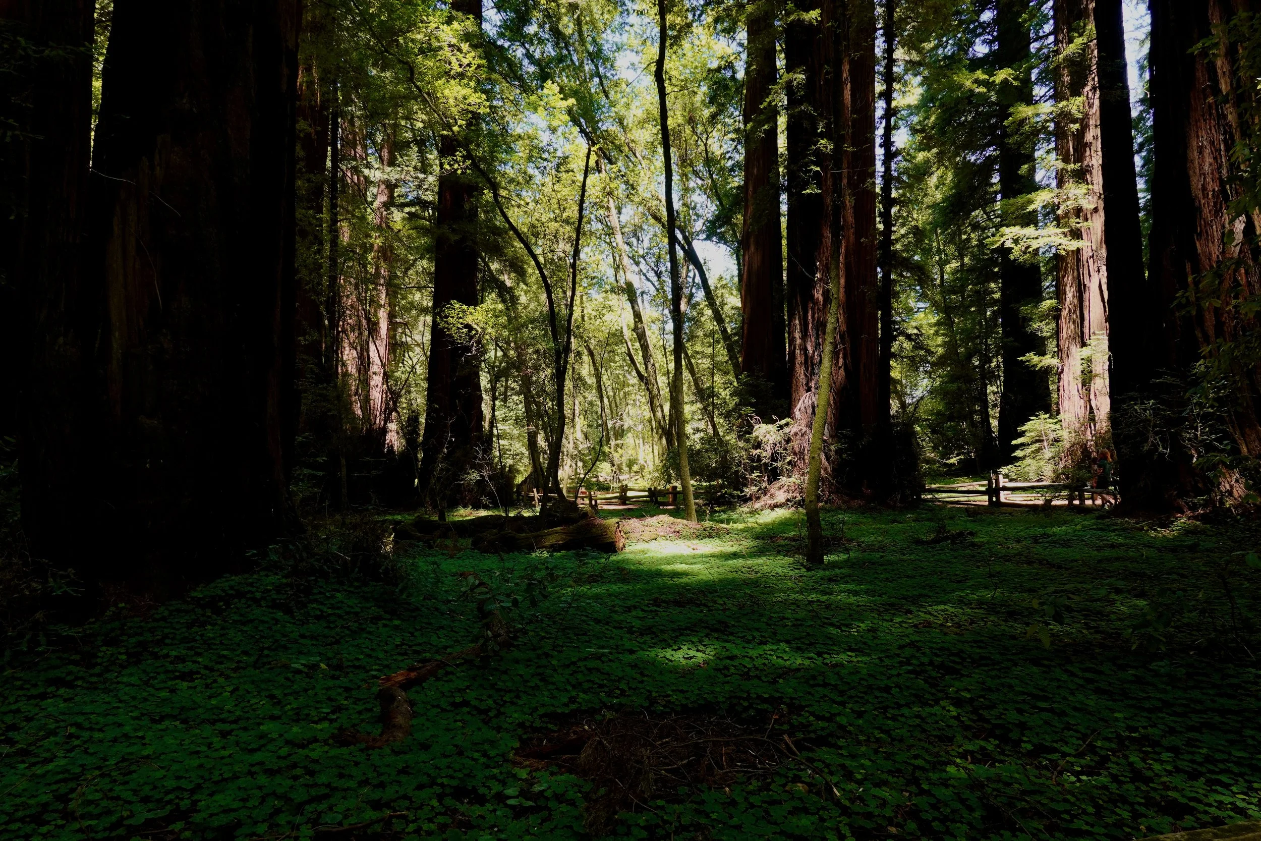 _DSC3640.jpeg