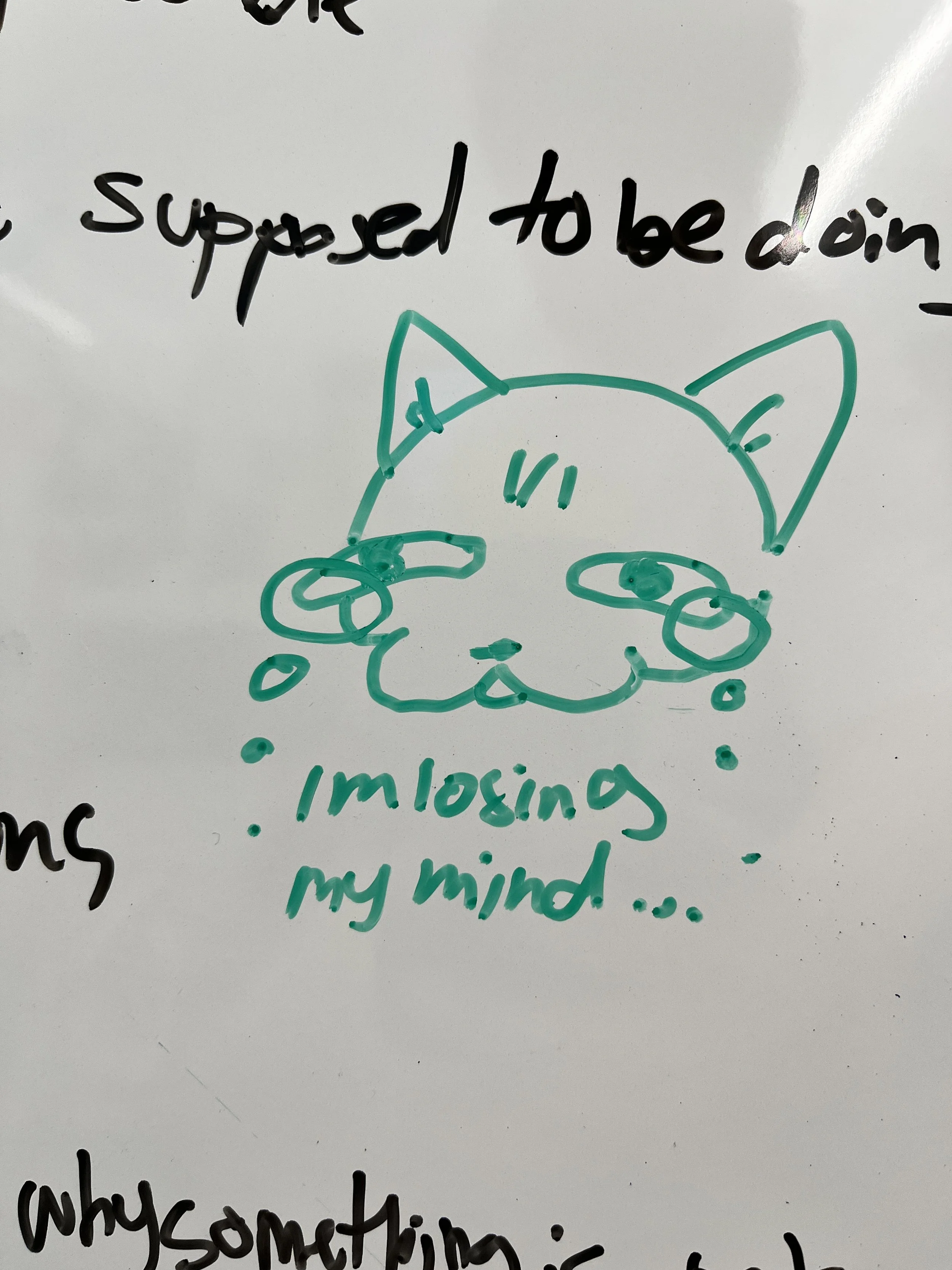 IMG_3756.jpeg