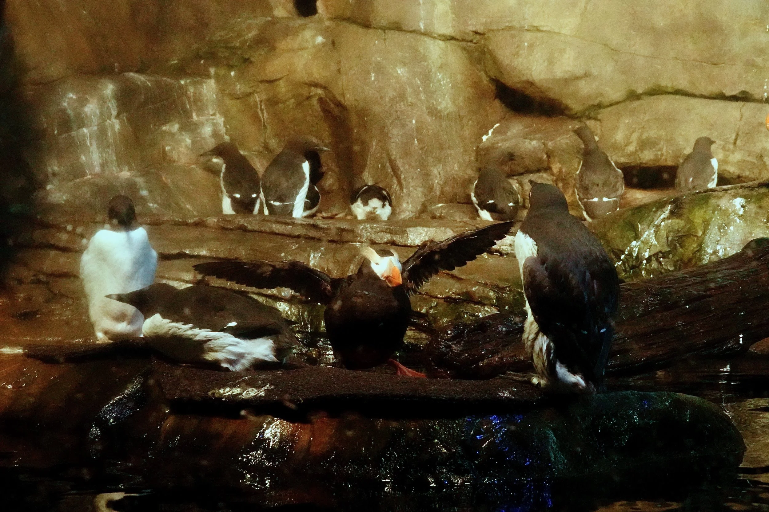 _DSC3809.jpeg