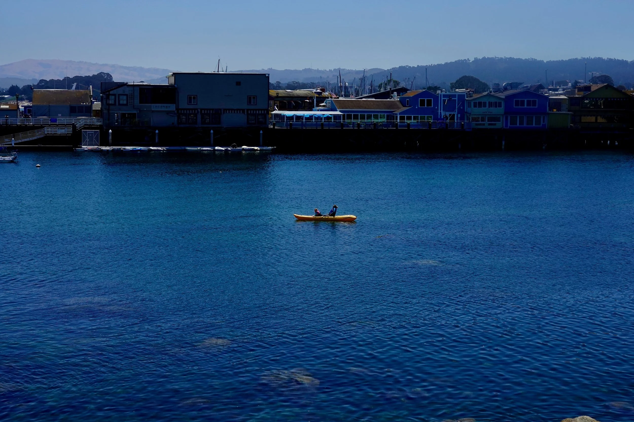 _DSC3674.jpeg