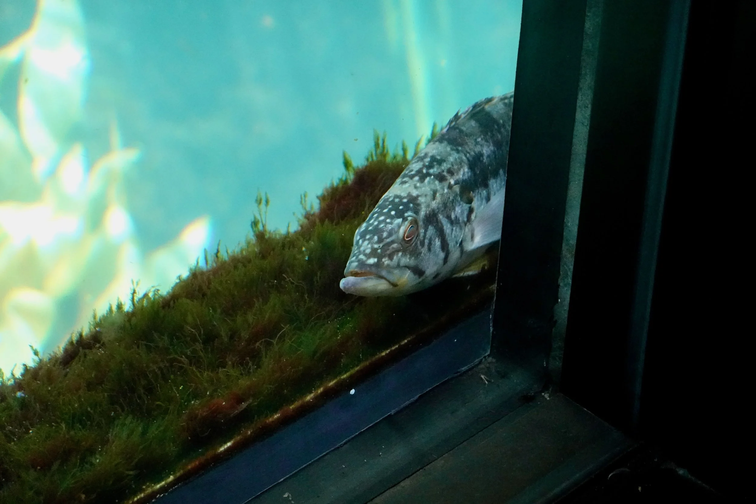 _DSC3814.jpeg