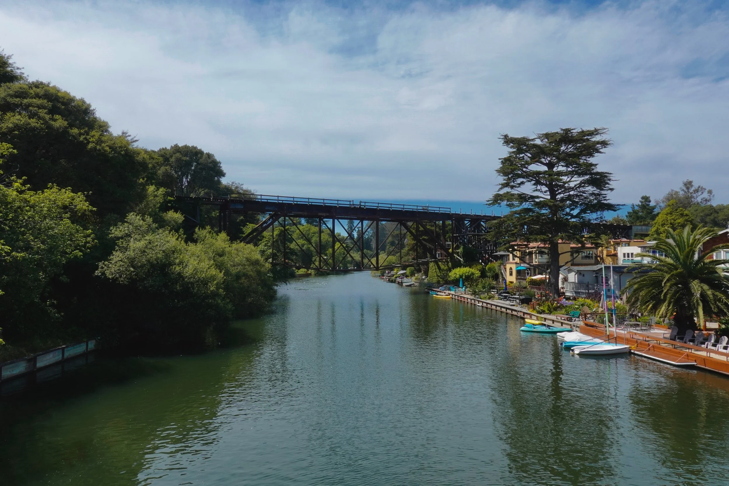 _DSC3659.jpeg