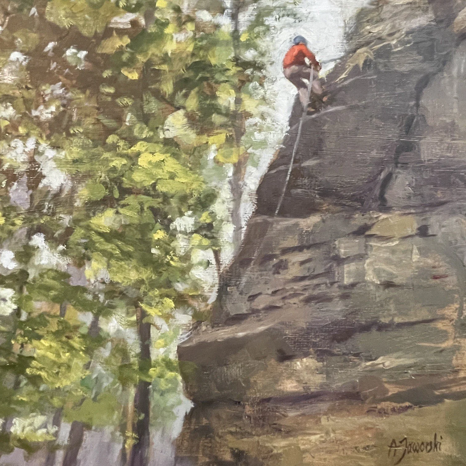 Climb at Cooper's Rock