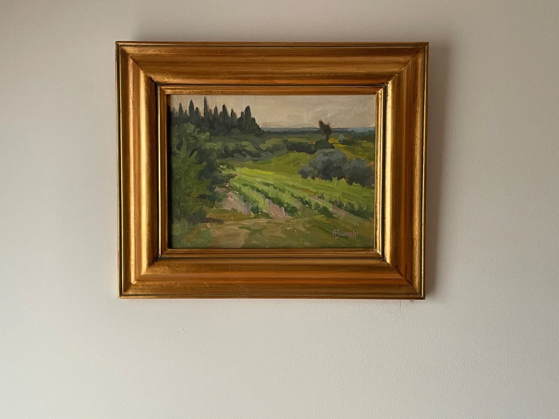 Vineyards in Provence framed.jpg