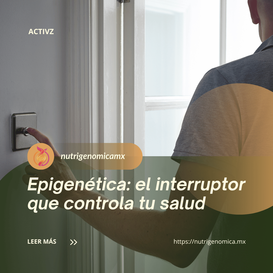 ¿Qué es la Epigenética? El Interruptor Genético que Tu Vida Diaria Enciende y Apaga