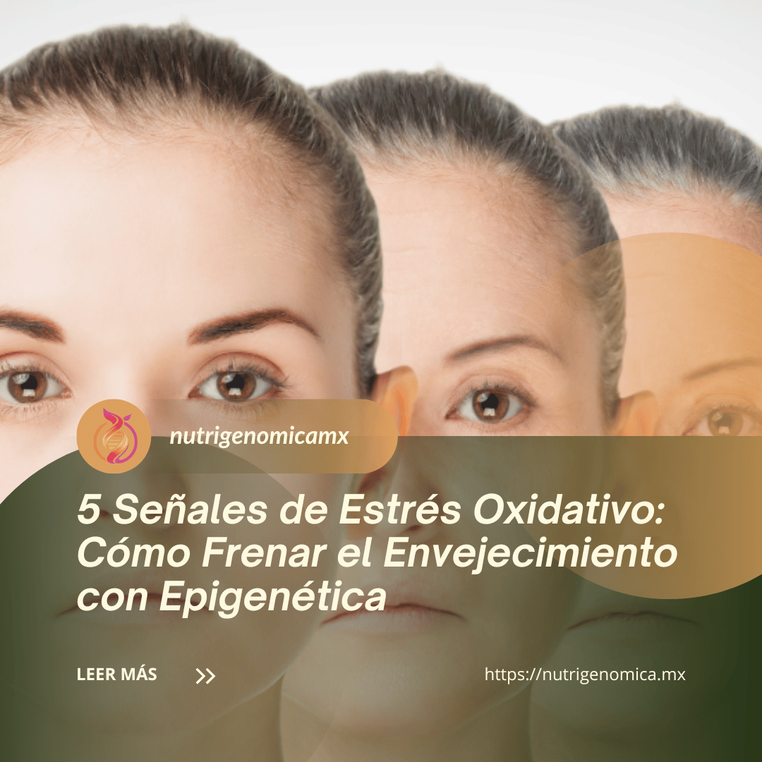 5 Señales de que el Estrés Oxidativo Acelera tu Envejecimiento (y Cómo Detenerlo)
