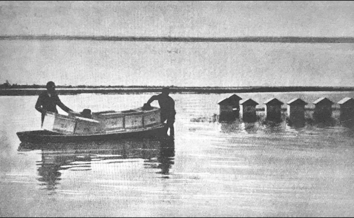 The Modern Beekeeper, 1938 
Credit: Venice Gardens Foundation.
