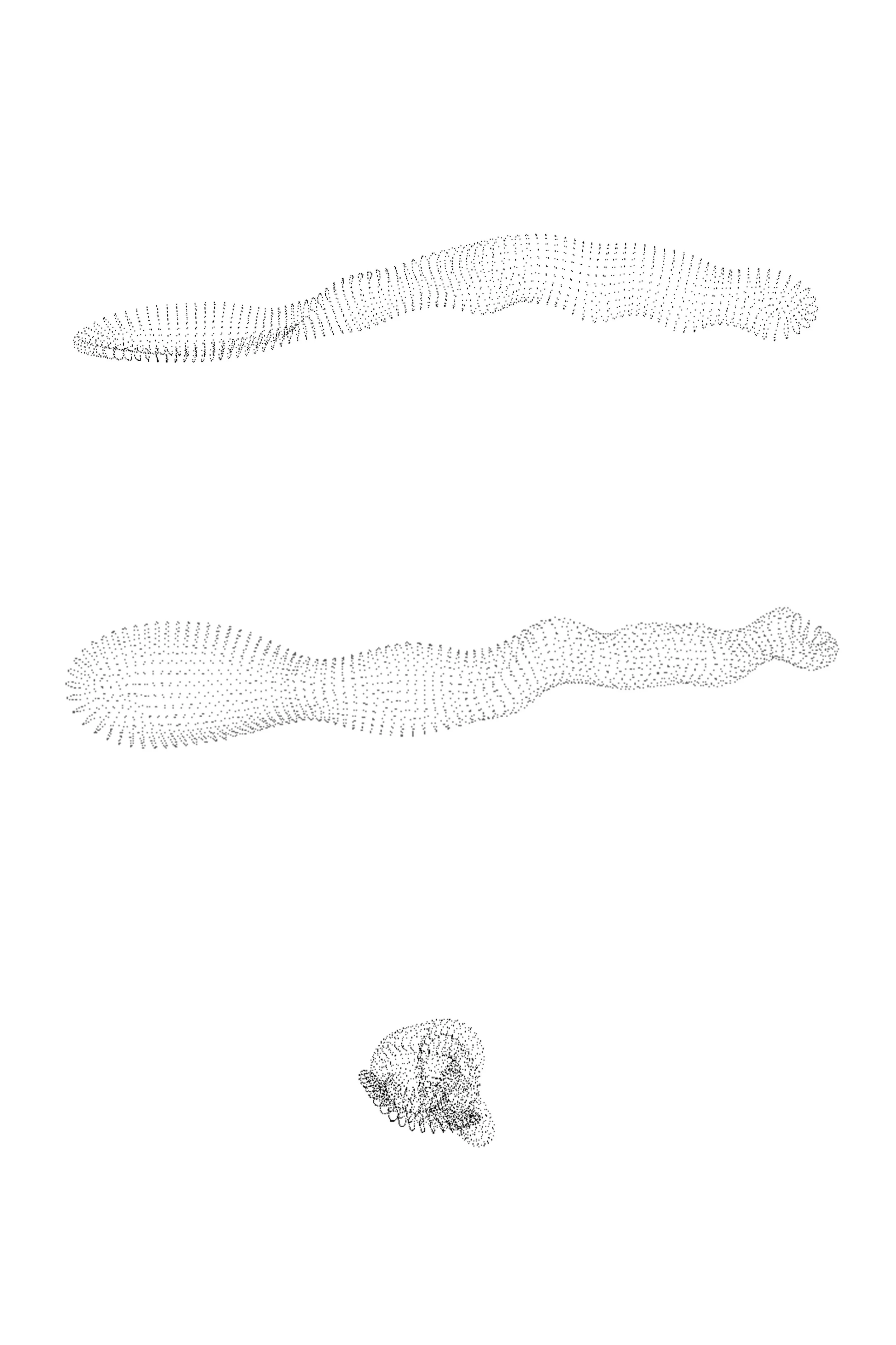 Point cloud of Spoon