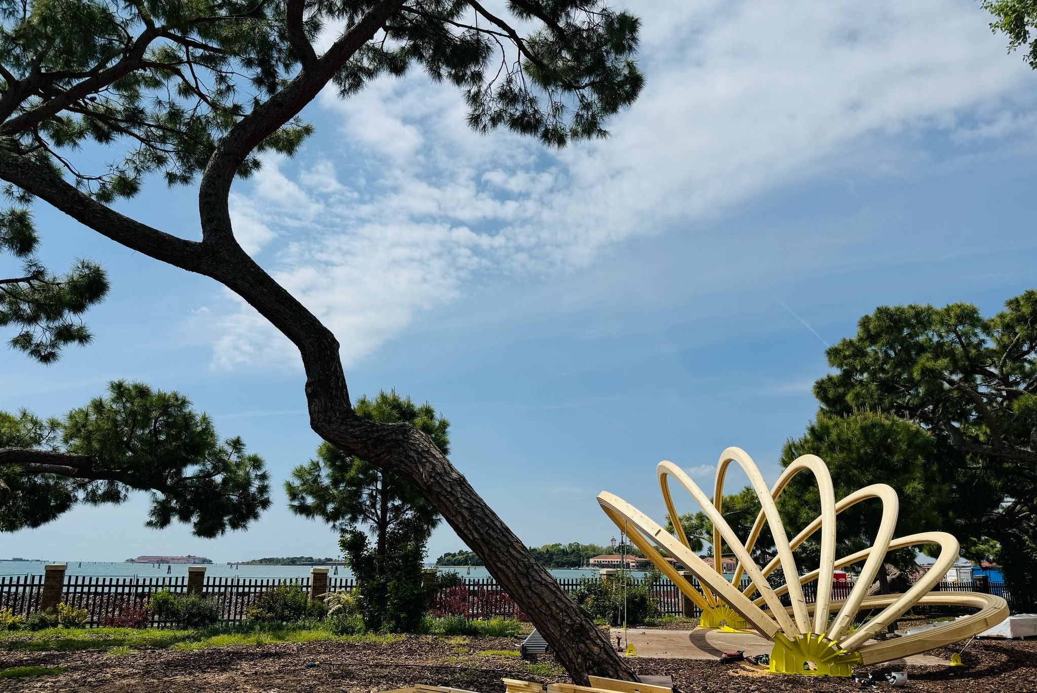         Bare bones of the Pavilion