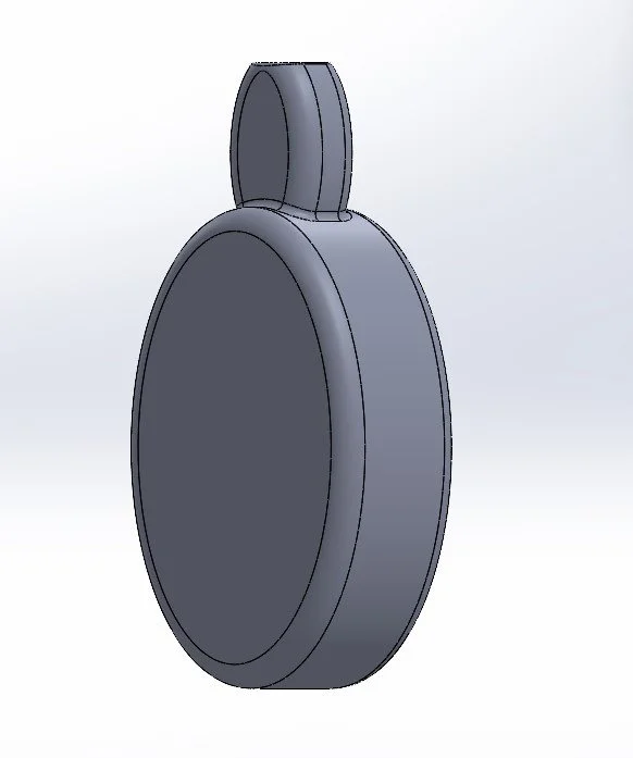 First 3D model