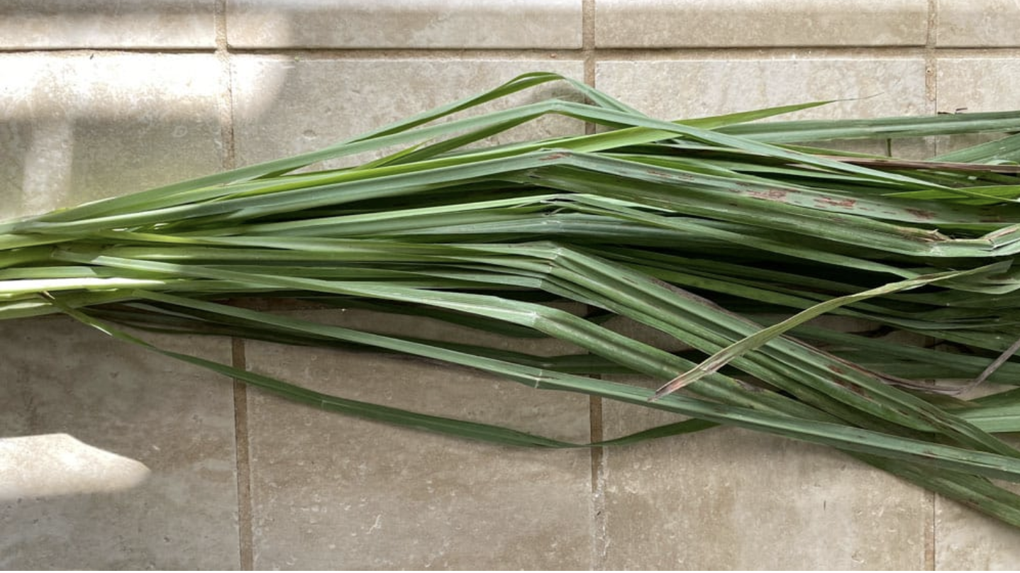 Lemongrass