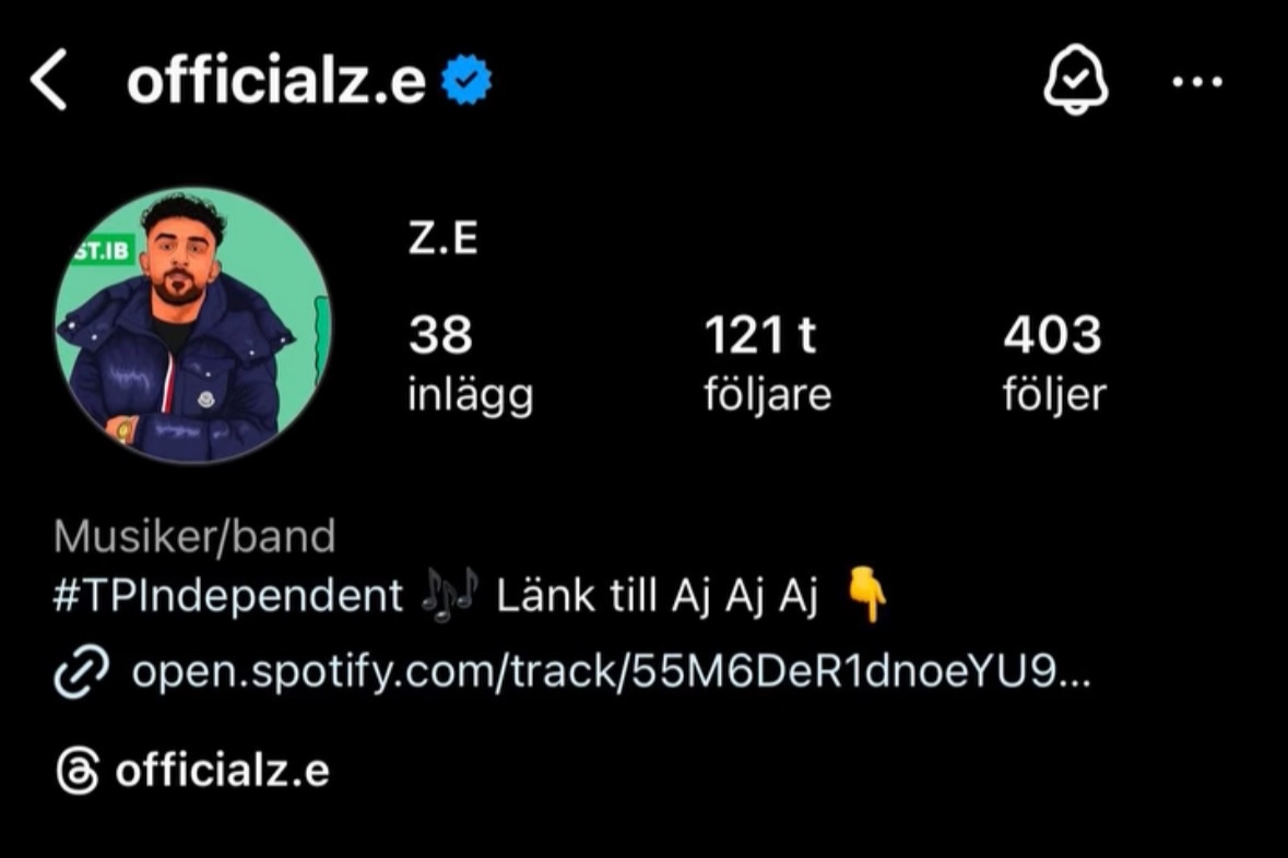 A social media profile page showing a cartoon avatar of a man with a beard and black hair, wearing a blue jacket. The profile name is 'officalz.e' with a verified checkmark. The profile description indicates they are a musician/band, linked to a Spotify track, and includes hashtags and follower information.