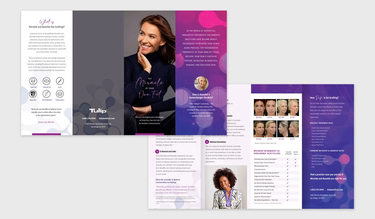 tulip-brochure-2.jpg