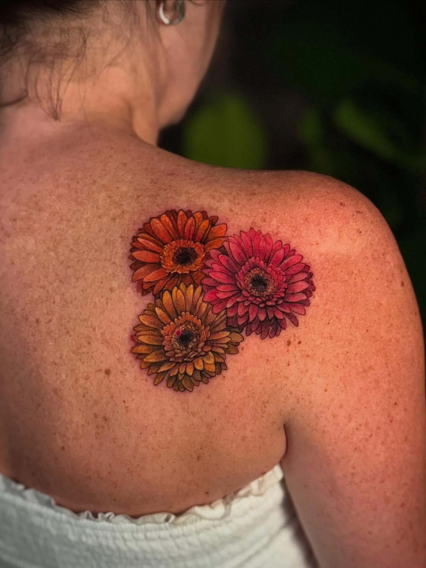 A trio of Gerbera daisies for Tracie 🌸