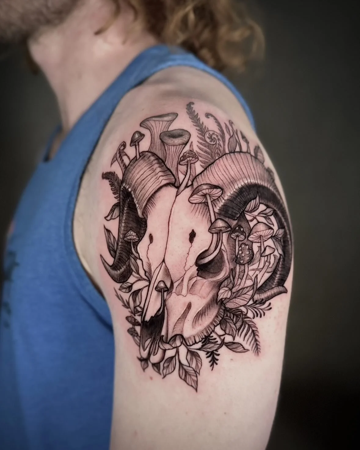 Ram skull for Andrew 🌿🍄

#ramskulltattoo #mushroomtattoo #minimalisttattoo #realismtattoo #lvtattooartist #lehighvalleytattooartist
