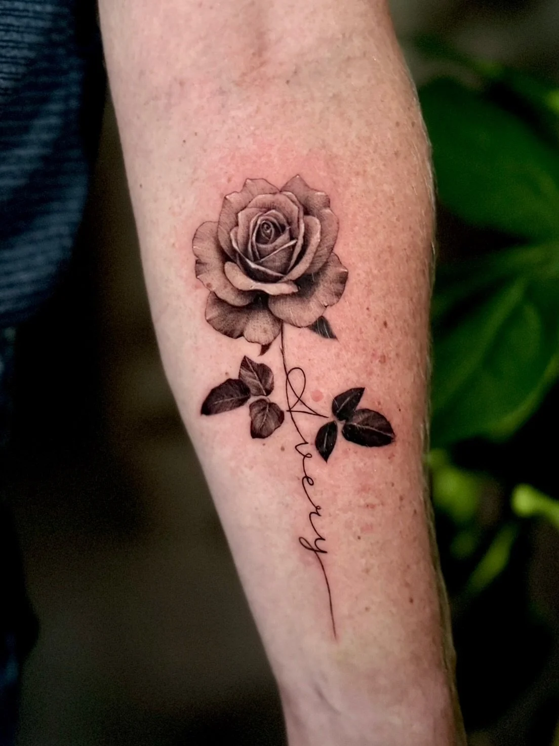 Black and gray rose for Jerry 🌹

#finelinetattoo #rosetattoo #realismtattoo #blackandgrayrose #realisticrosetattoo #lvtattooartist #lehighvalleytattooartist
