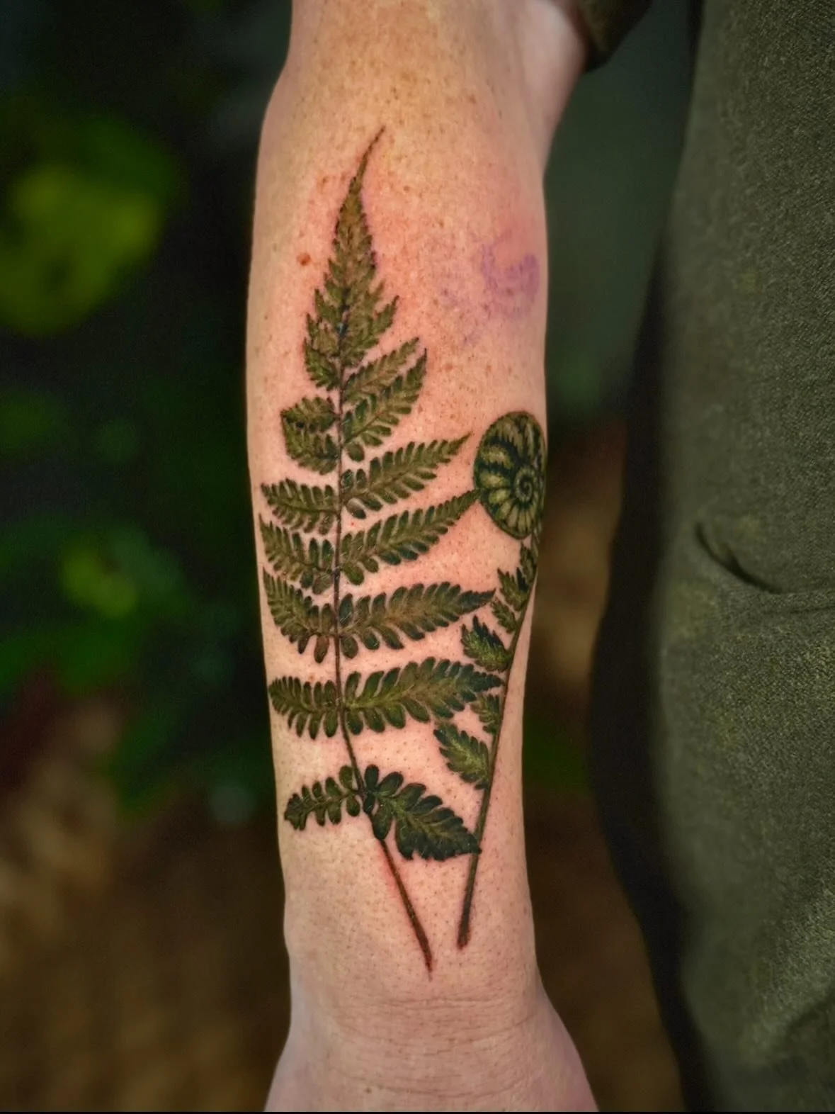 Fern fronds for Tracy ✨🌿

#realismtattoo  #lvtattooartist #ferntattoo