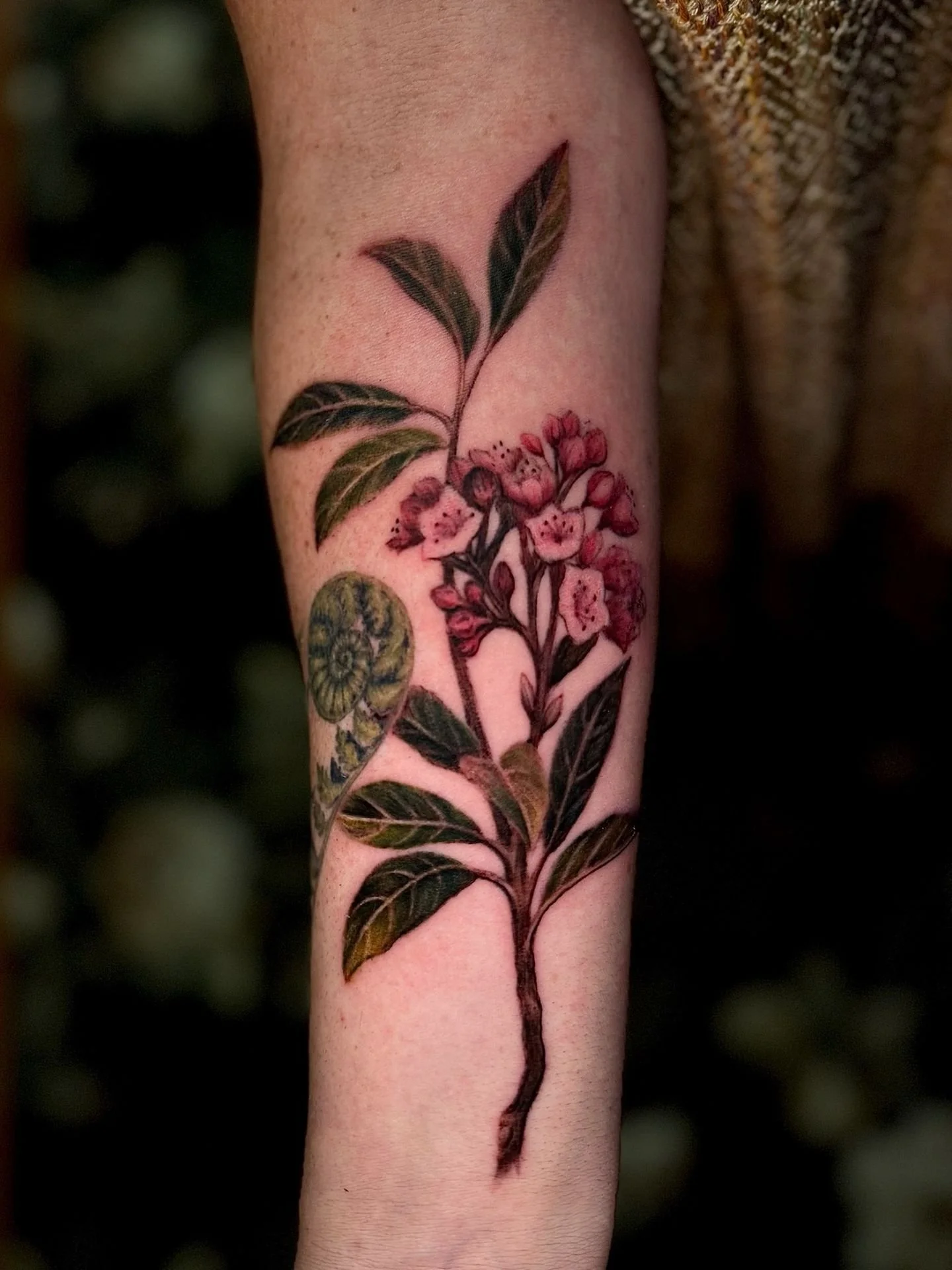 The older piece settled beautifully. Added something new to the same arm 🌸🌿

See last slide for comparison😊 

#patattooers #illustrativetattoo #armtattoo #coloredtattoo #naturetattoo