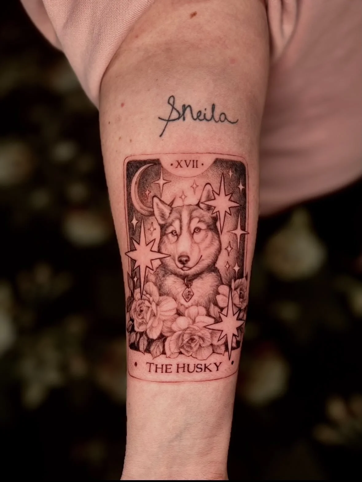 Husky tarot card for Heather to honor her two sweet boys 🖤🤎