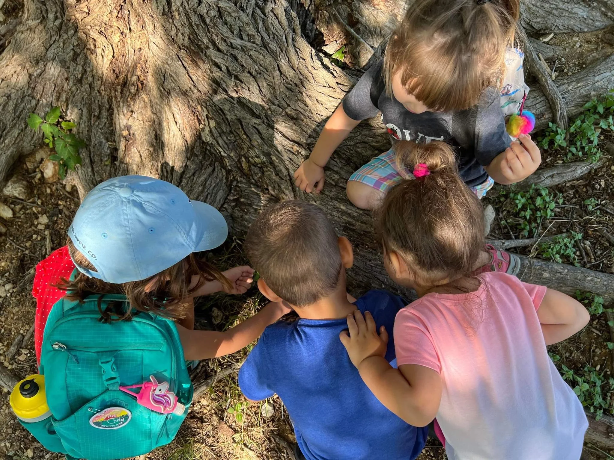 Play-Based Learning Adventures