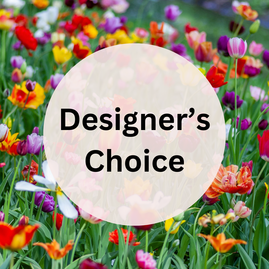 Designer’s+Choice+(1).png