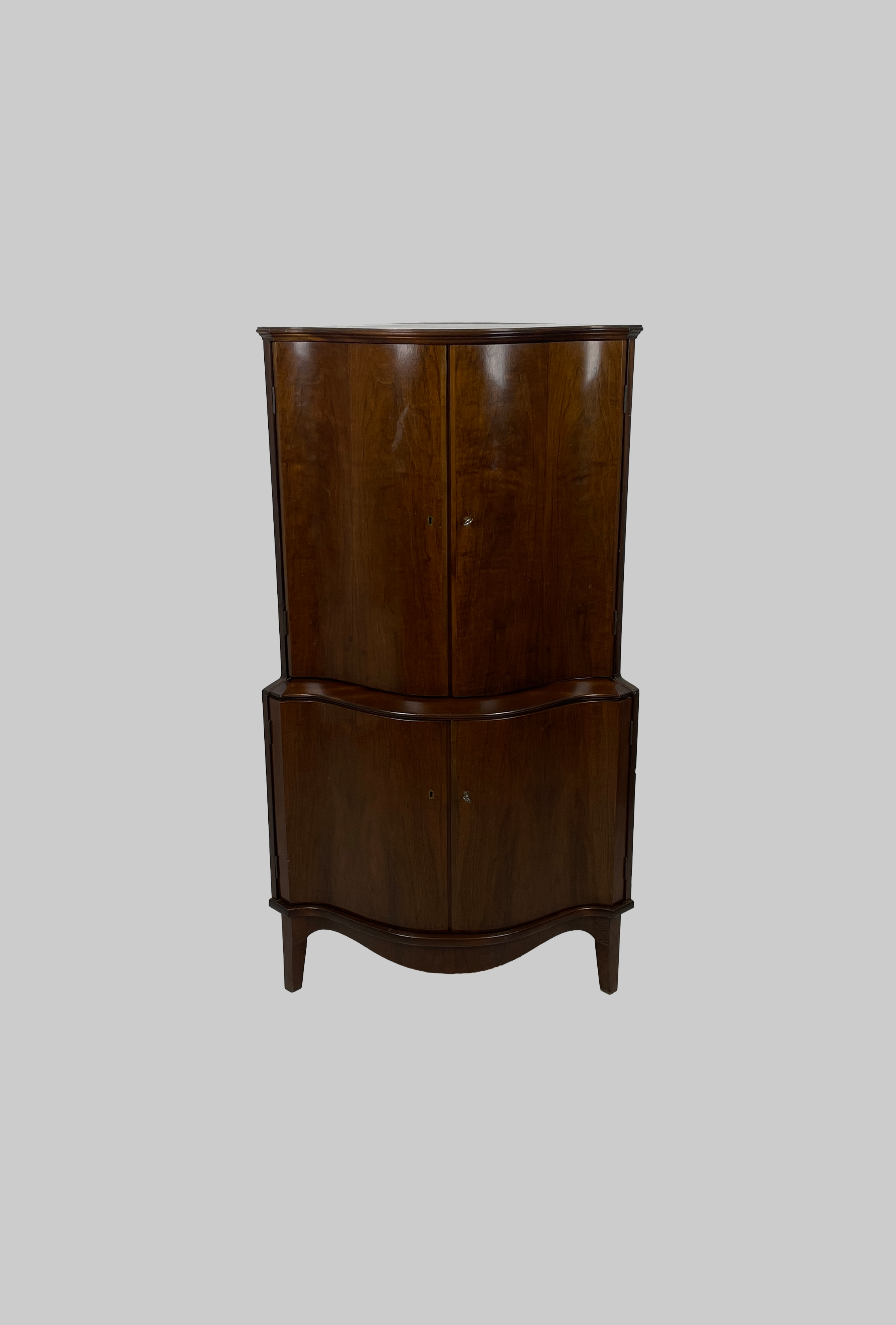 Remove background project.PNG