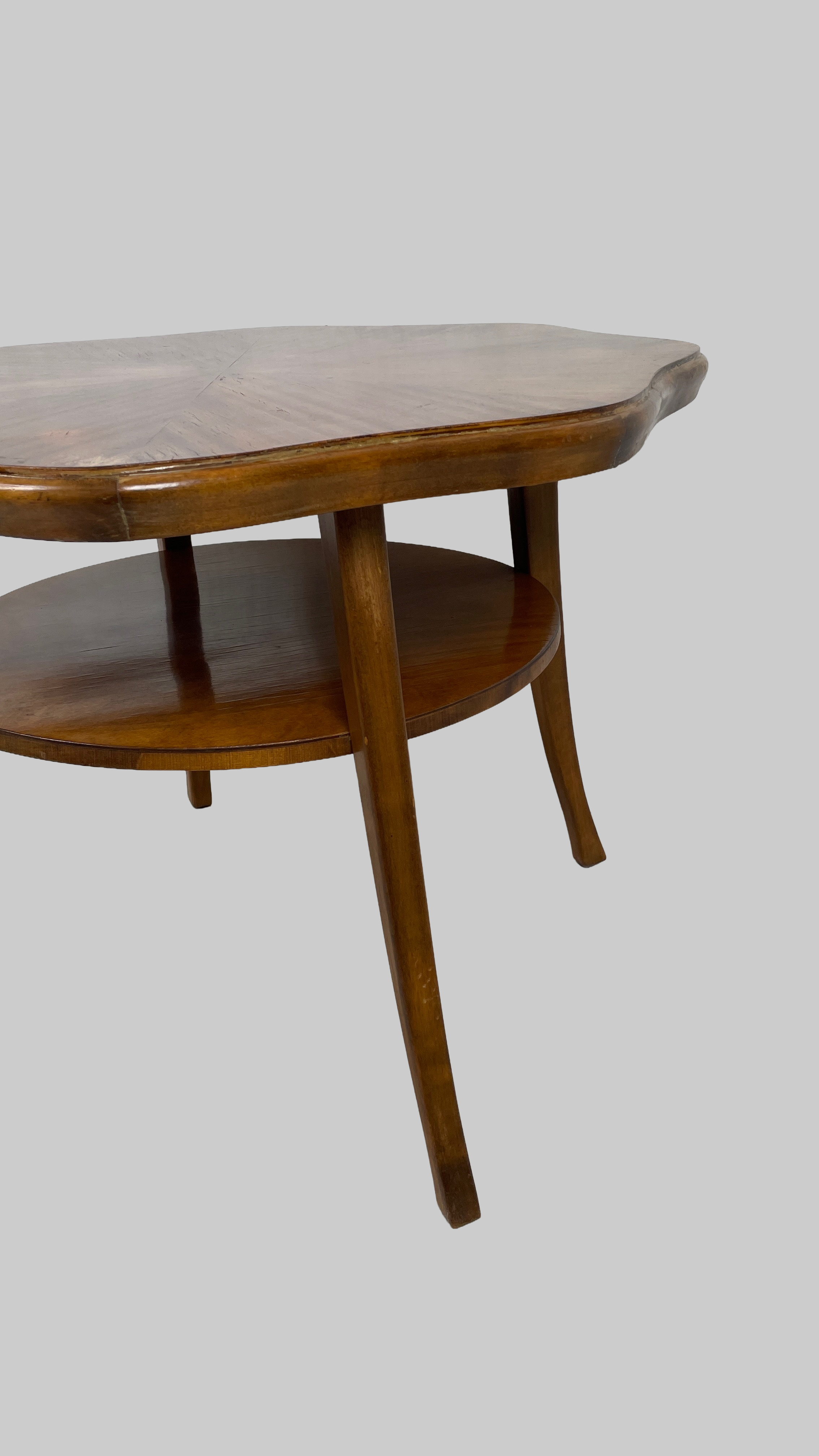 Remove background project 10.PNG