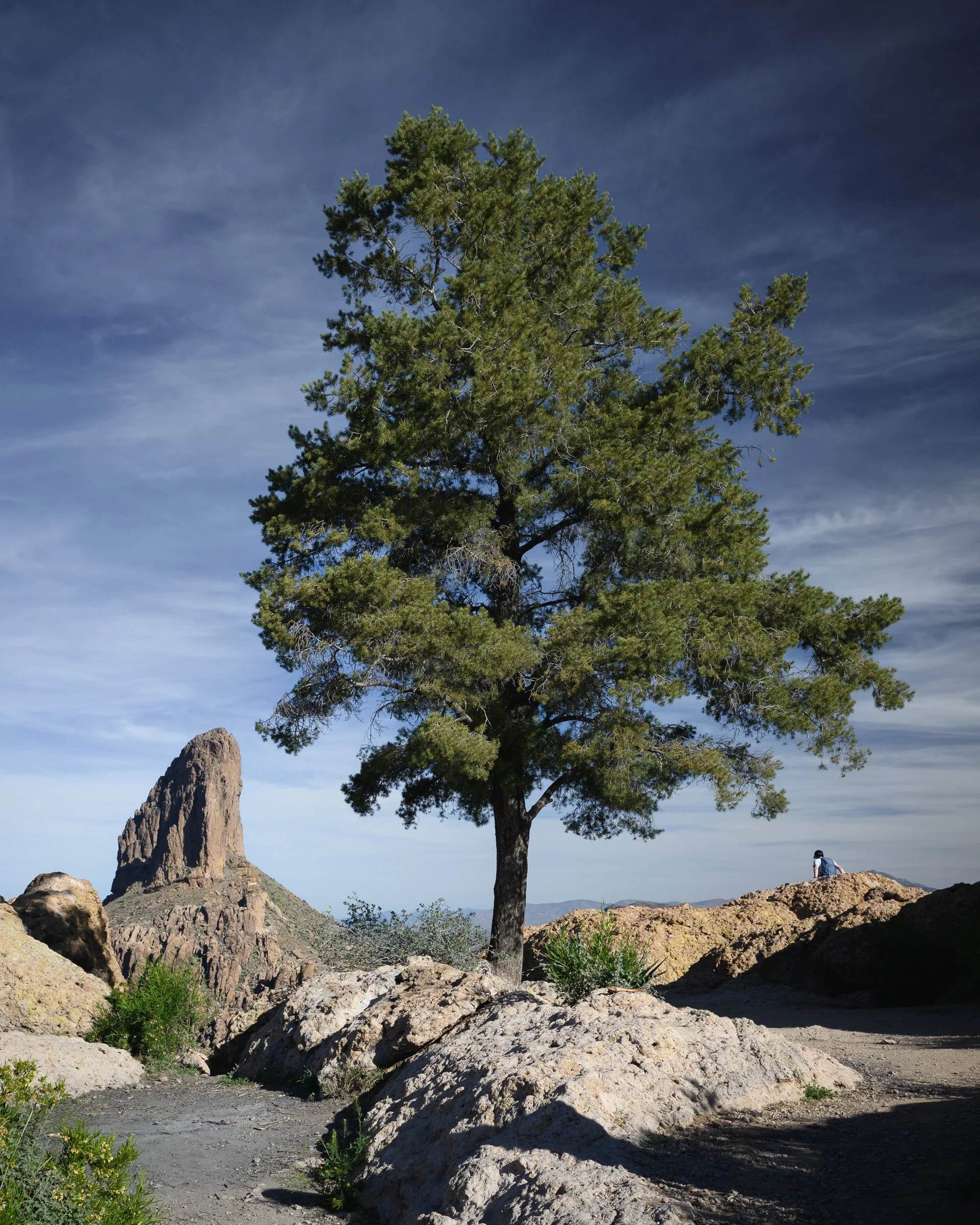 Peralta Trail, Weaver's Needle, Lone Tree, Superstition Wilderness, Arizona