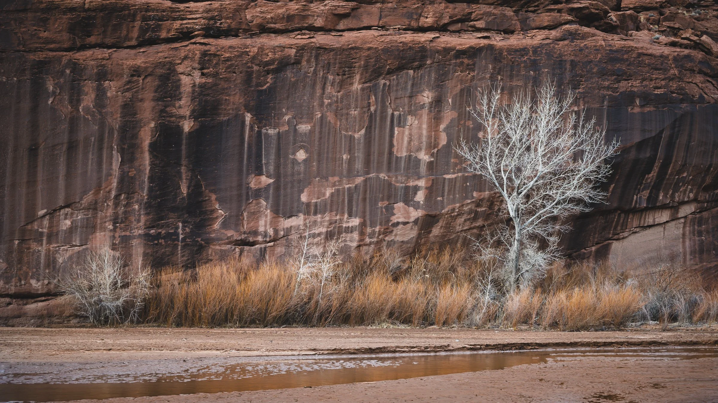 Canyon de Chelly, Arizona