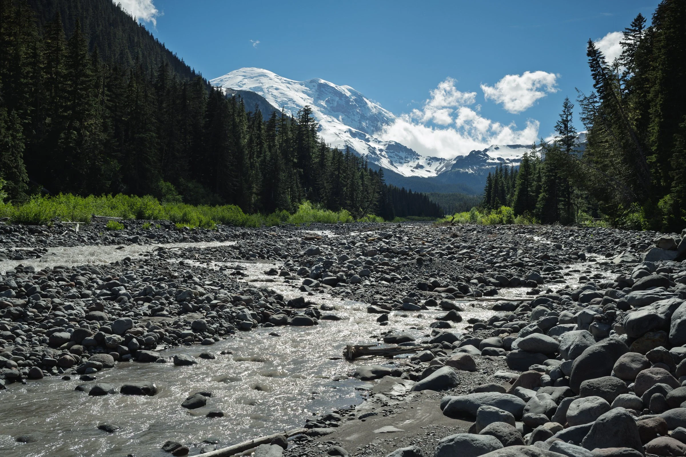 Mt Rainier behind the White River, Mt. Rainier National Park Washington