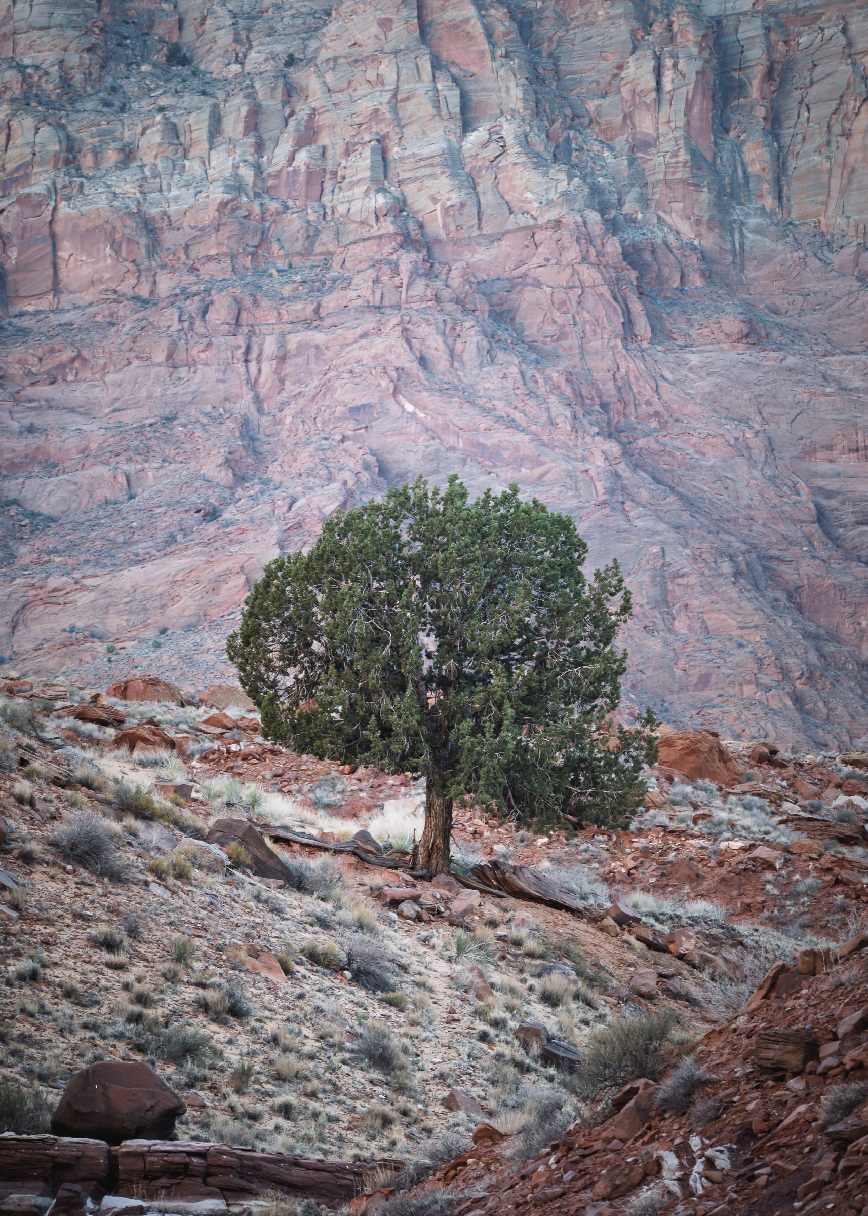 Paria Canyon, Arizona