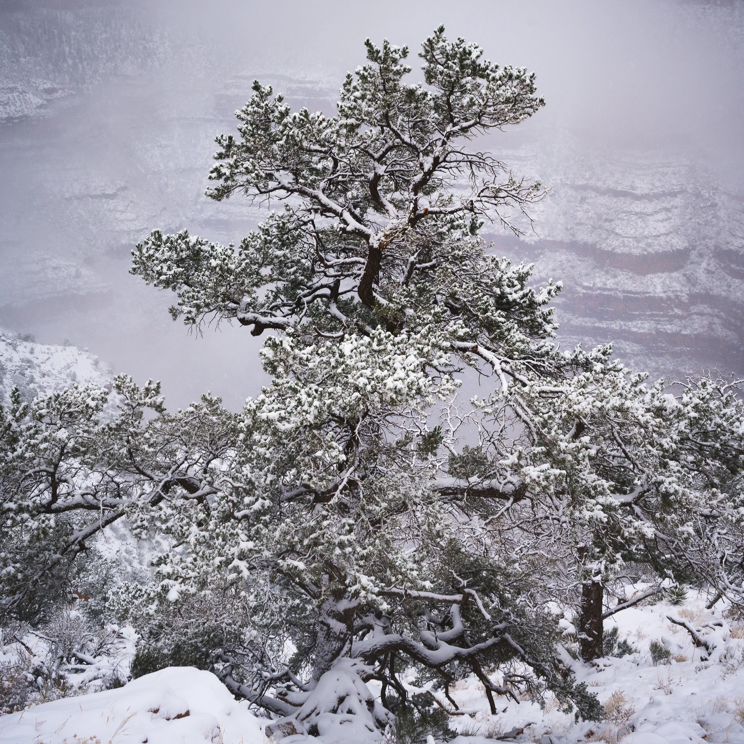 Grand Canyon National Park, Arizona