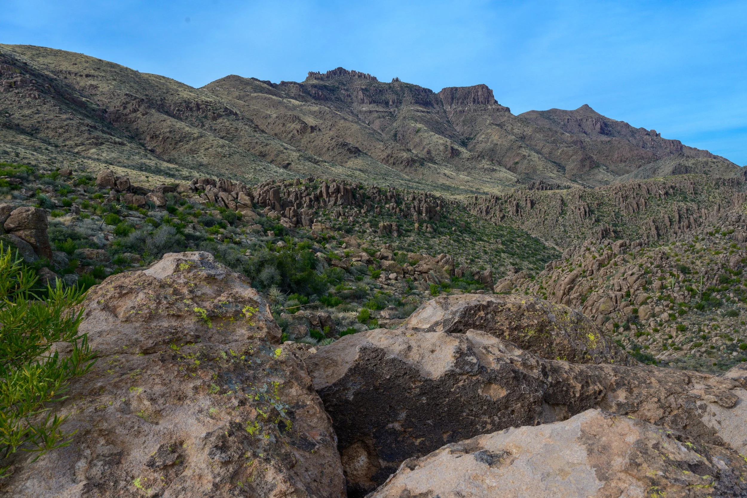 Superstitions  Wilderness, Arizona