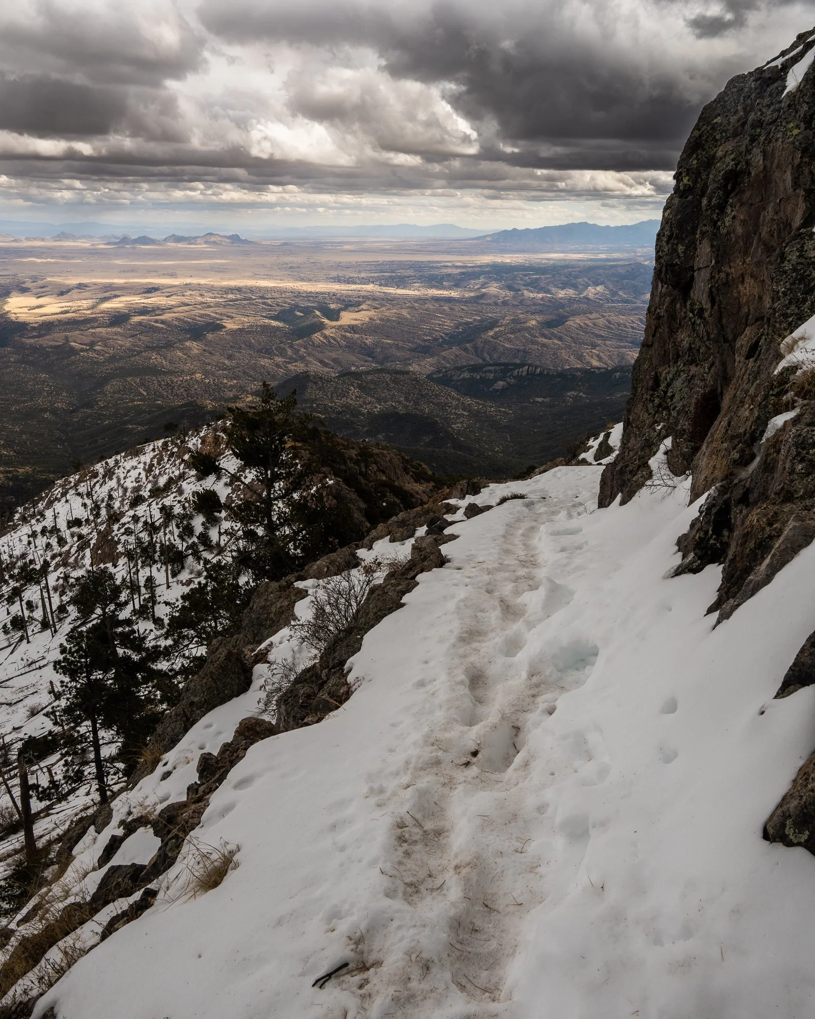 DSC_1634.jpg